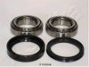 ASHIKA 44-11004 Wheel Bearing Kit